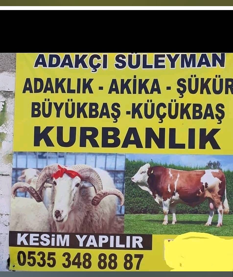 Konya Karatay adaklık kurban satış işleri, küçükbaş hayvan satış hizmeti, büyükbaş hayvan alım satımı, kurbanlık hayvan satış hizmetleri verilmektedir. Geleneksel değerlere saygıyla, özenle seçilmiş adaklık kurbanlık hayvanlarımızla sizlere hizmet veriyoruz. Kurban Bayramı'nın ruhuna uygun olarak, küçükbaş ve büyükbaş hayvanların satışını gerçekleştiriyor ve kesim öncesinde titizlikle seçilmiş olanları size sunuyoruz. Siz de bu özel dönemde, adaklık kurbanlık hayvan ihtiyacınızı karşılamak ve bu kutsal ibadeti yerine getirmek için bizimle iletişime geçebilirsiniz. Deneyimli ekibimiz, güvenilir hizmet anlayışıyla size yardımcı olmaktan mutluluk duyacaktır. Her bir hayvanımız, sağlıklı ve güvenilir bir şekilde sunulmakta olup, sizin için özel olarak seçilmiştir. Size en iyi hizmeti sunmak ve bu özel ibadeti yerine getirmenizde size destek olmak için buradayız.