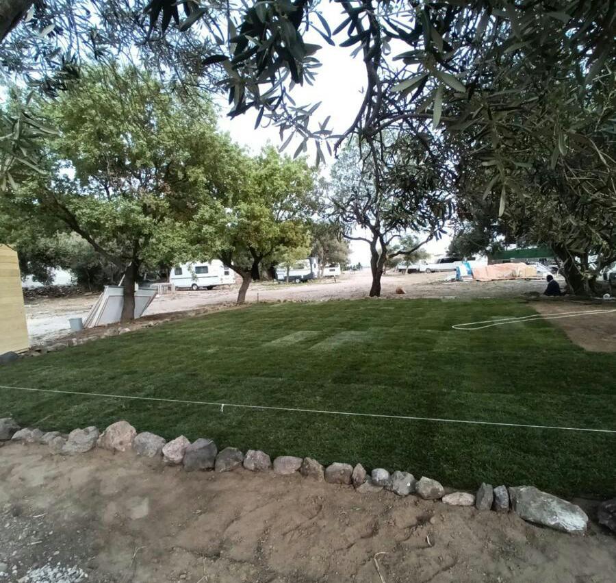 Çanakkale Ayvacık rulo çim uygulama işleri, bahçe bakım onarım hizmeti, ağaç budama hizmeti, bahçe ilaçlama hizmeti, peyzaj uygulama hizmetleri verilmektedir. 
Rulo çim uygulama işleri, bahçe bakım ve onarım hizmetleri, ağaç budama, bahçe ilaçlama ve peyzaj uygulama hizmetleri gibi geniş bir yelpazede faaliyet gösteren firmamız, müşterilerine yeşil alanlarında güzellik ve sağlık sağlamak için kapsamlı çözümler sunmaktadır. Deneyimli peyzaj uzmanlarımız ve bahçe bakım ekiplerimizle, her türlü bahçe ihtiyacınızda size destek oluyoruz. Rulo çim uygulamalarıyla bahçelerinizi kısa sürede yeşillendirirken, ağaç budama hizmetleriyle de sağlıklı ve estetik bir görünüm elde etmenize yardımcı oluyoruz. Bahçe ilaçlama hizmetleriyle zararlı haşere ve hastalıklarla mücadele ederken, peyzaj uygulama hizmetleriyle de hayallerinizdeki yeşil alanı oluşturmak için yanınızdayız. Müşteri memnuniyetini ön planda tutarak, her bir projeye özenle ve dikkatle yaklaşıyoruz ve doğanın güzelliklerini korumayı amaçlıyoruz.
